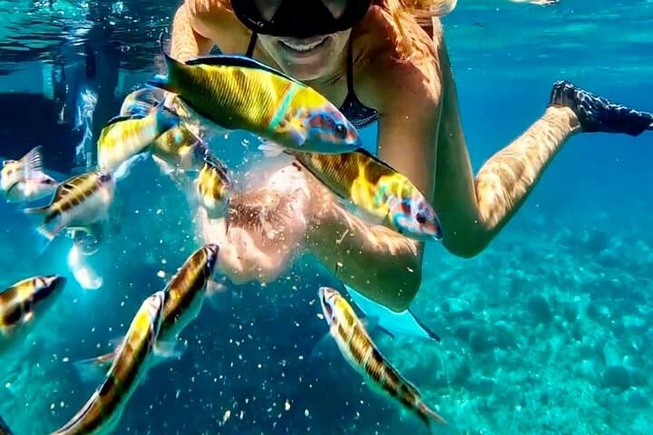 Snorkeling Tropea