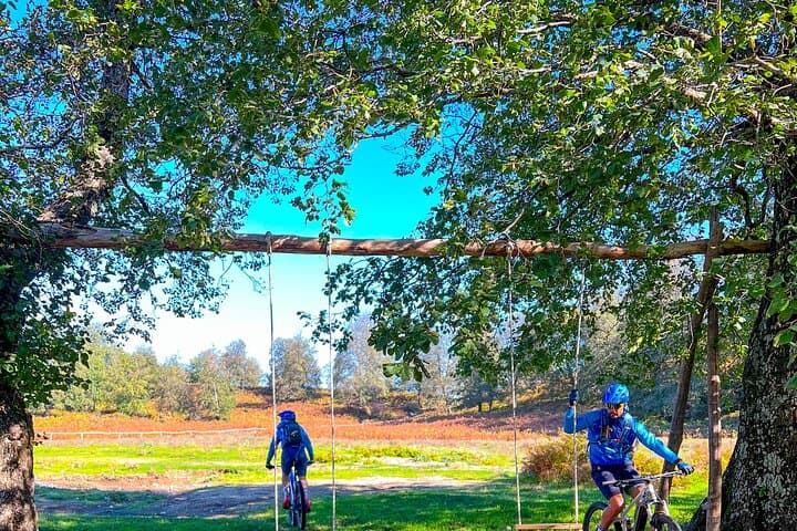 Sorrento e-bike adventure: olive oil and lemon tasting