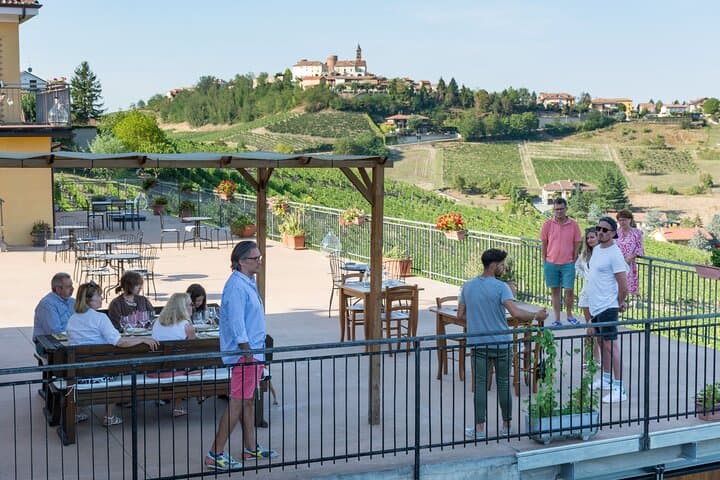 Langhe and Monferrato Wine Tasting with the Producer