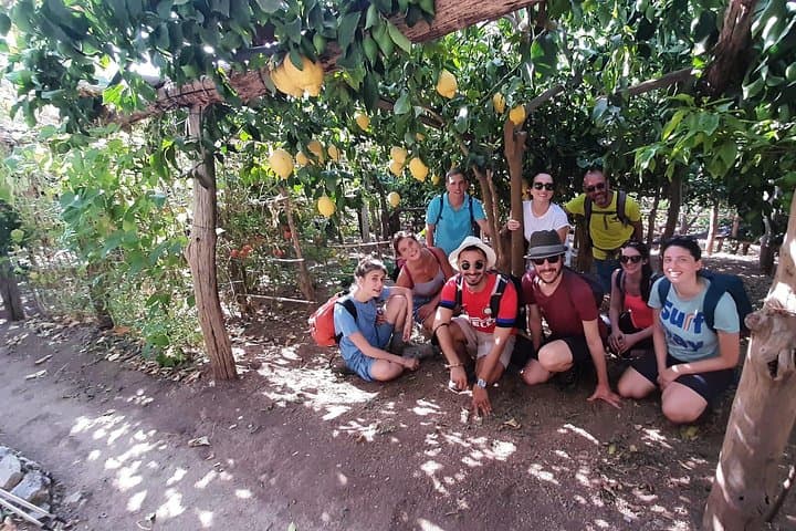 Path of the Lemons