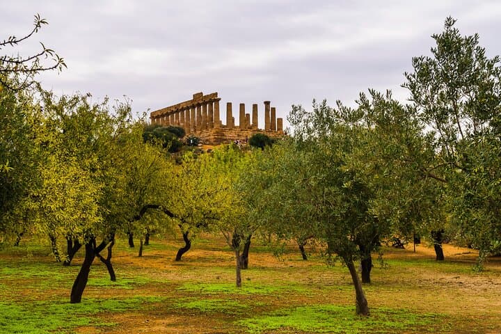 5 Days Food Wine and Culture West Sicily Tour In Palermo
