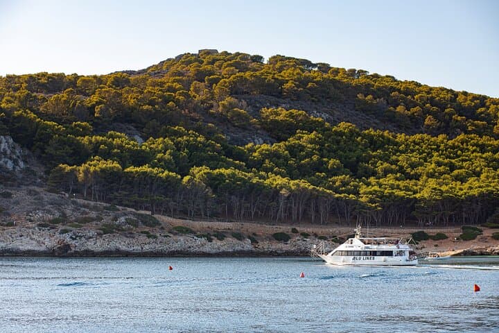 From Trapani : Boat Tour Aegadian Islands Favignana and Levanzo Lunch