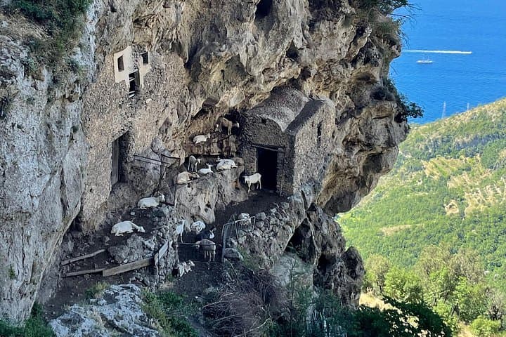 Make no mistake: the goats are still the ones ruling the trail.