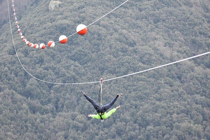 freestyle