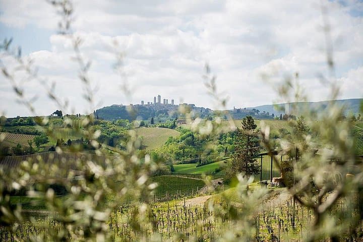 Private Tuscany Tour