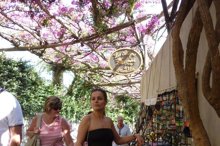 Top Excursions -Italy Positano and Pompeii Skip-The-Line Full-Day Tour from Rome
