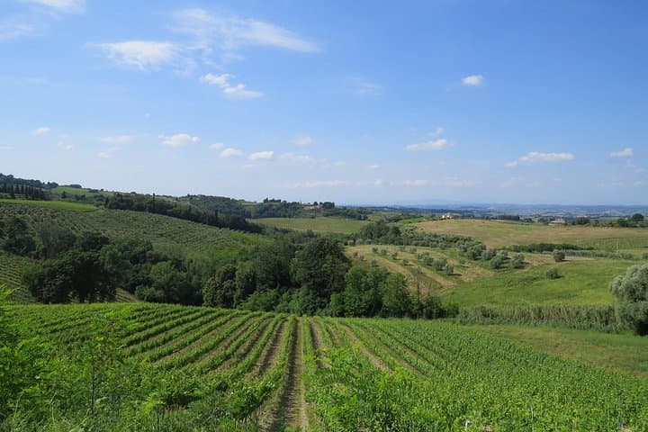 Chianti e-Vespa Self-Drive Tour from Florence with Lunch