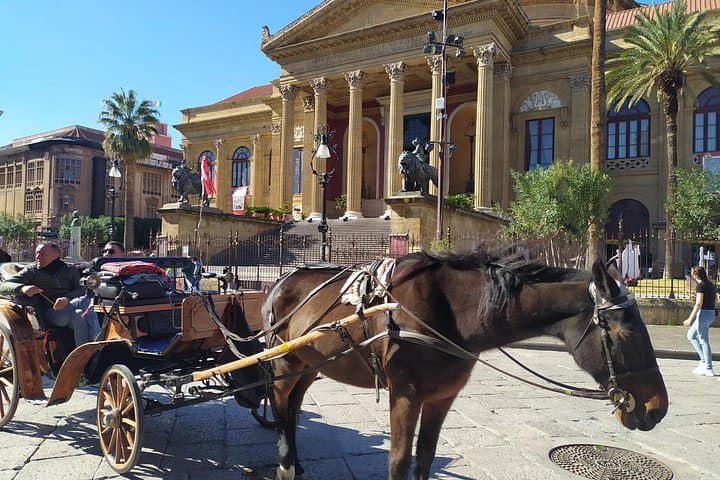 Discover Palermo in 3 hours. Art, history, markets and street food