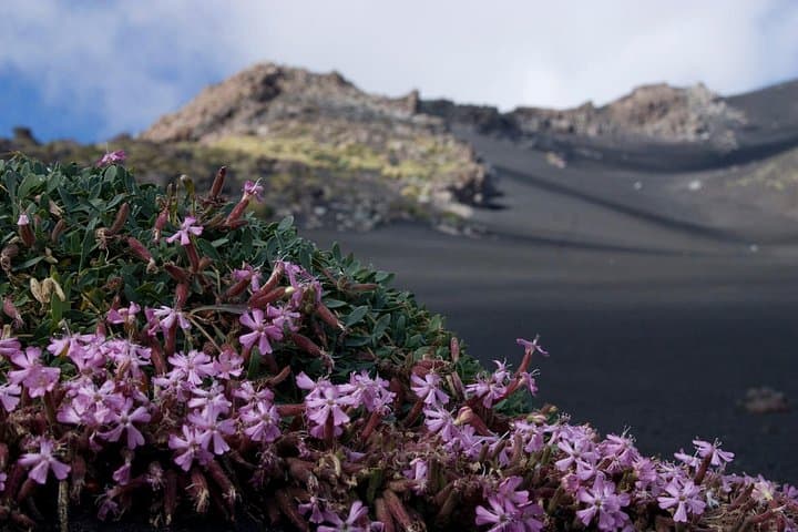 Etna Morning or Sunset - Trek & Lava Tunnel with Gear