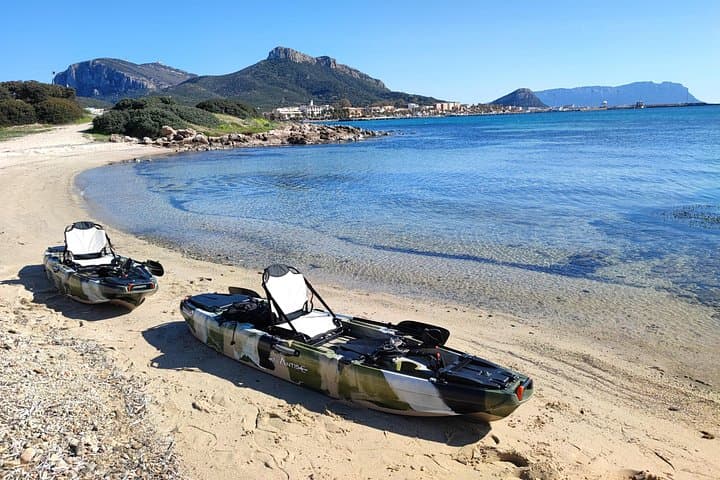 Kayak tour in Golfo Aranci with aperitif and Dolphin watching