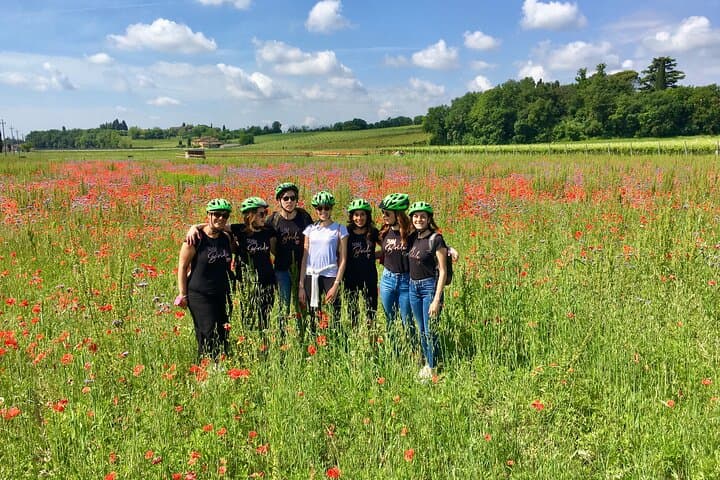E-Bike Tour and wine tasting in Lazise Countryside
