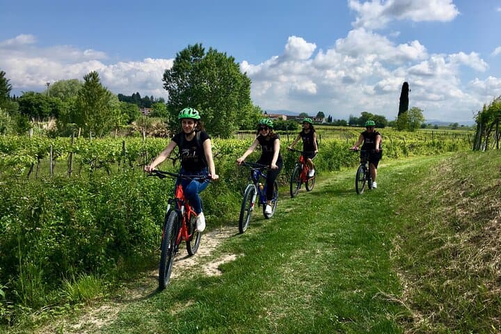 E-Bike Tour and wine tasting in Lazise Countryside
