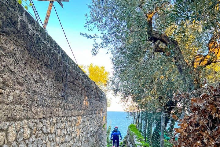 Oil and Lemon - Sorrento e-Bike Tour Experience