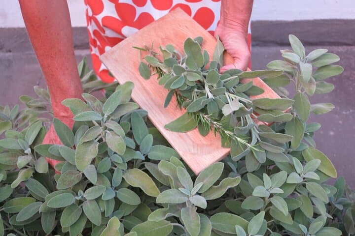 Pasta Cooking Classes and Apulian Recipes
