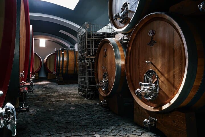Scenic Wine Tasting & Lunch on the Slopes of Vesuvius from Naples