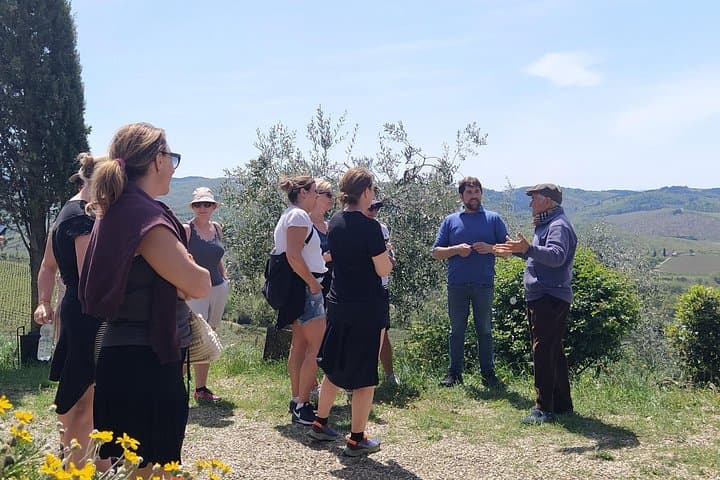 Private Hike and Wine Experience in the Chianti Classico region