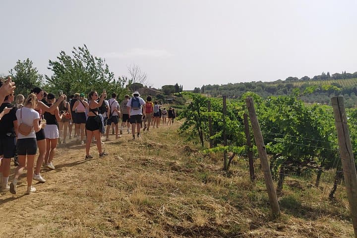 Private Hike and Wine Experience in the Chianti Classico region