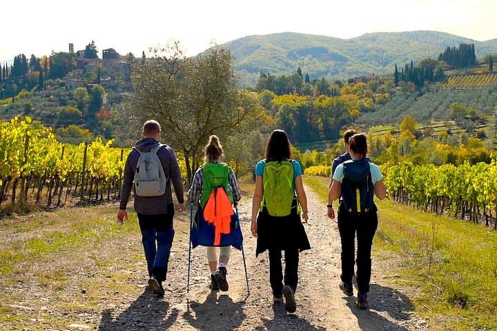 Private Hike and Wine Experience in the Chianti Classico region