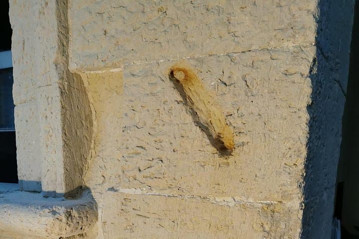 1 Hour Walking Tour The Ancient Jewish Quarter in Lecce