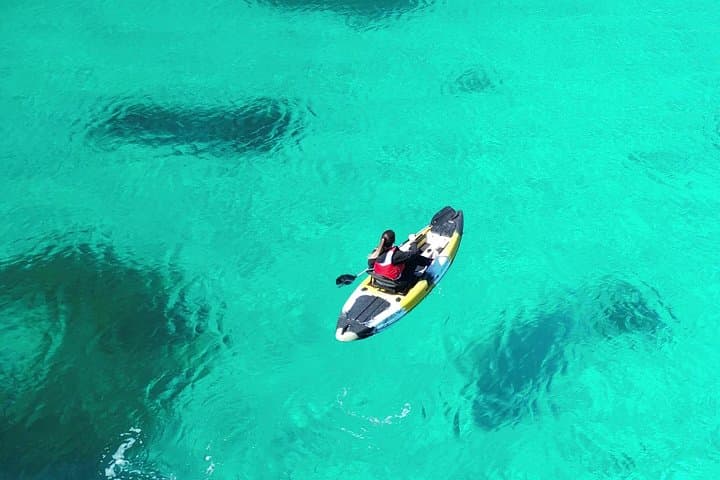 Kayak tour in Golfo Aranci with aperitif and Dolphin watching