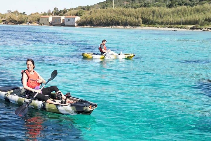 Kayak tour in Golfo Aranci with aperitif and Dolphin watching
