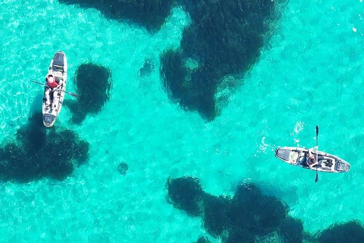 Kayak tour in Golfo Aranci with aperitif and Dolphin watching