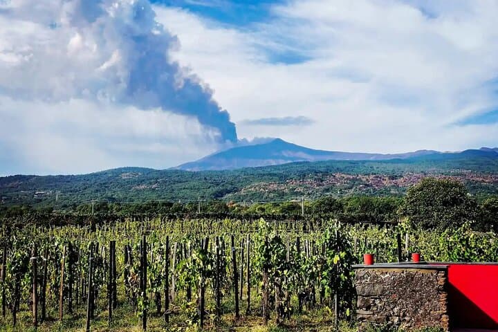 Etna from Vineyard 1