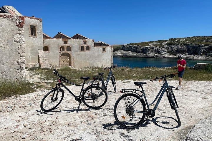 Syracuse Bicycle Rental