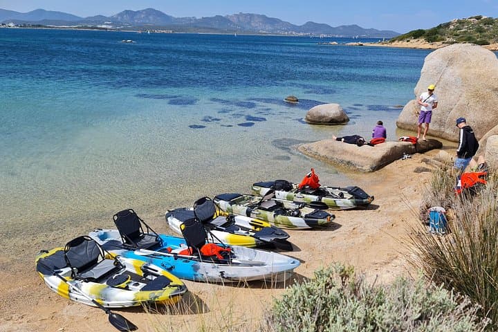 Kayak tour in Golfo Aranci with aperitif and Dolphin watching