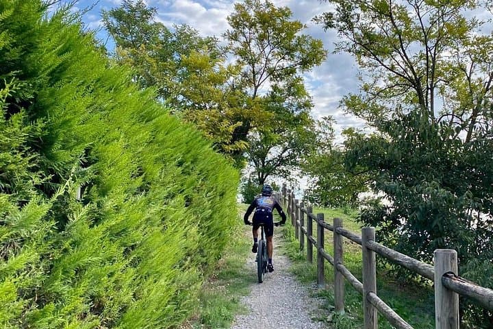 E-Bike tour and Wine tasting from Desenzano Inland