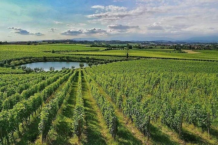 E-Bike tour and Wine tasting from Desenzano Inland