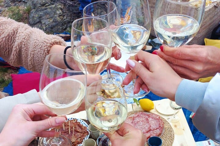 Exclusive Picnic in the Foothills of the Alps with the Lake Views