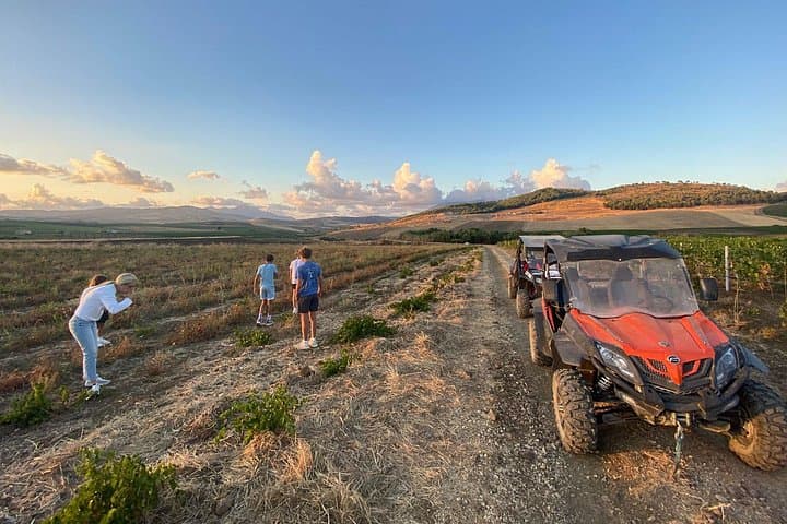 excursions immersed in the most productive vineyards in Europe