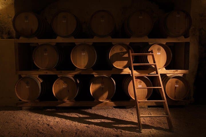 Historical Cellar Visit and Wine Tasting in Salento