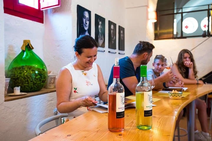 Historical Cellar Visit and Wine Tasting in Salento