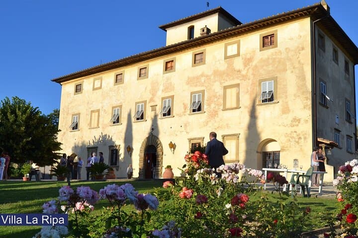 Tour of the vineyards and tasting of Evo wines and oil in Tuscany