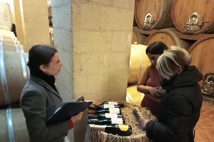 From Palermo Sicilian Retreat Erice & Marsala Tour with Lunch
