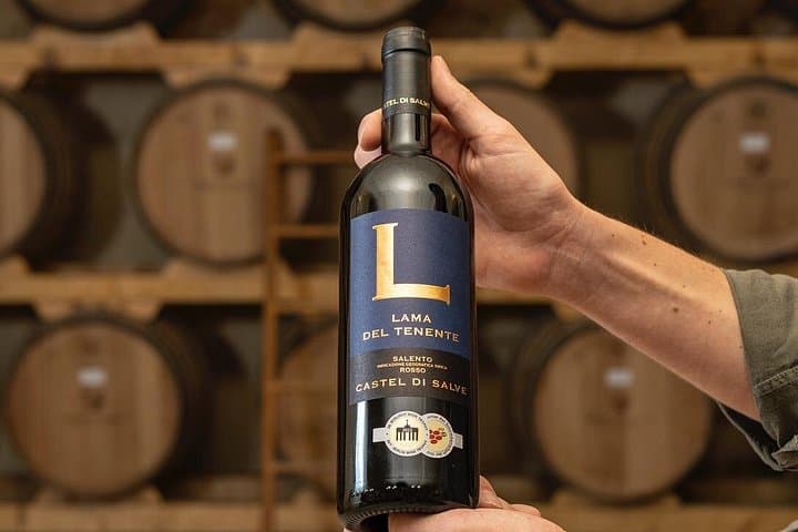 Historical Cellar Visit and Wine Tasting in Salento