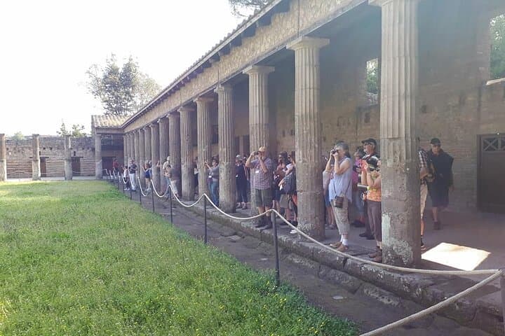 Guided Visit in Pompeii and Mount Vesuvius in Spanish and French