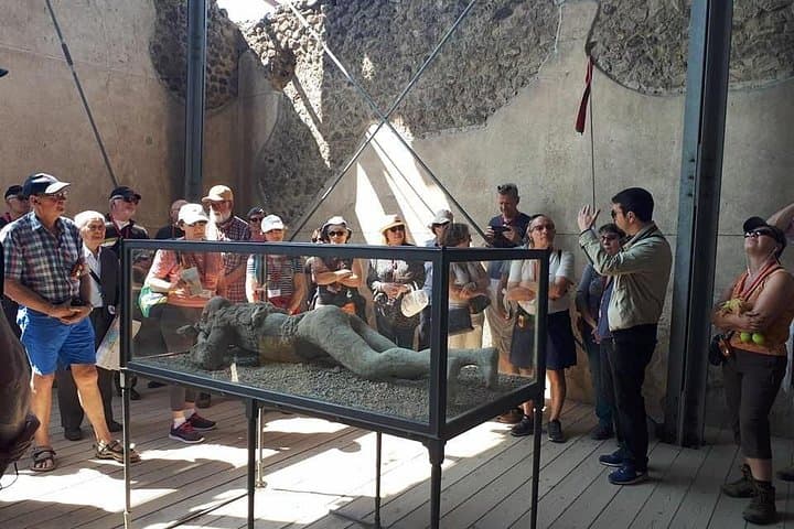 Guided Visit in Pompeii and Mount Vesuvius in Spanish and French