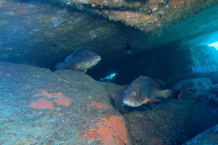 Advanced Open Water Diver course