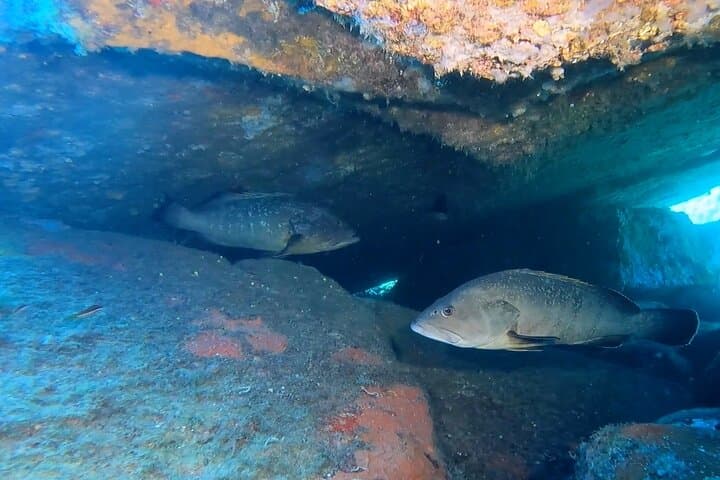 Advanced Open Water Diver course