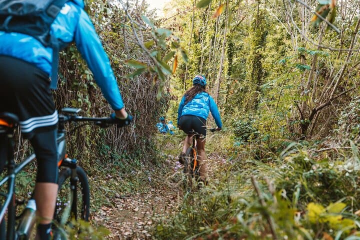 Pedals & Flavours: Sorrento oil and lemon tour