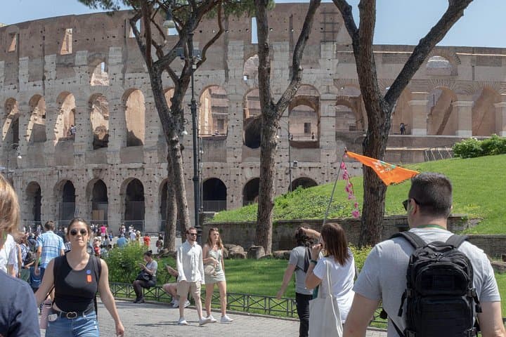 Guided tour of the Colosseum, Roman Forum and Palatine in Spanish