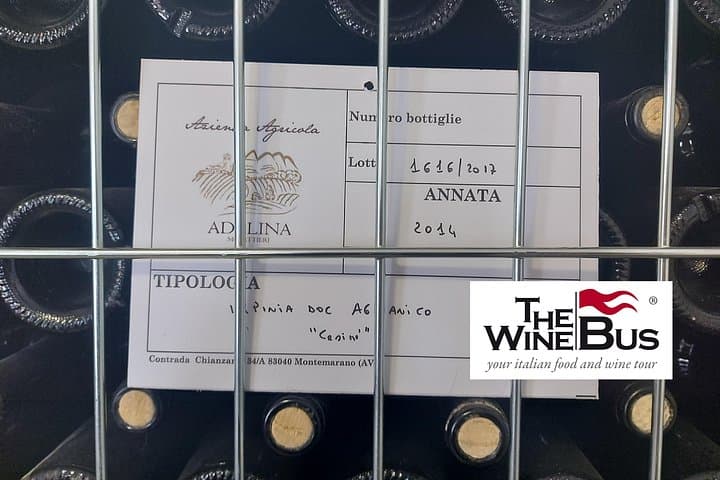 Half-Day Irpinia Wine Tour from SALERNO with sommelier