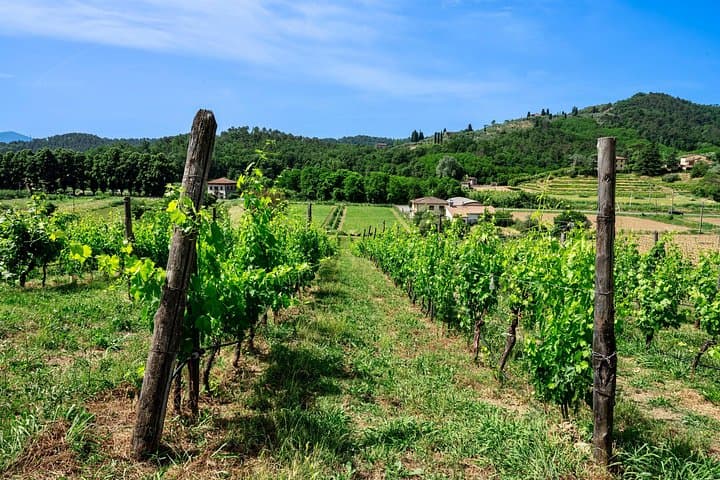 Valle del Sole Tasting of 3 wines and EVO oil
