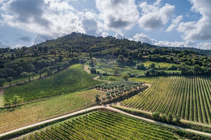 Montalcino: Brunello Wine Tasting with Tuscan Specialities