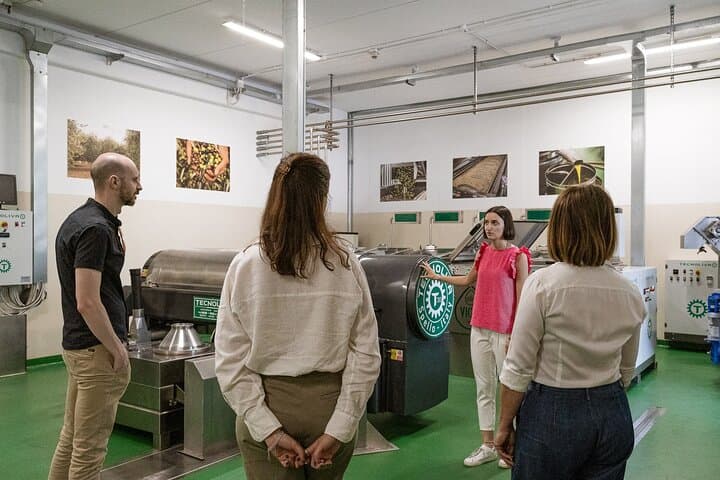 Lake Garda Olive Oil Tour and Tasting Experience