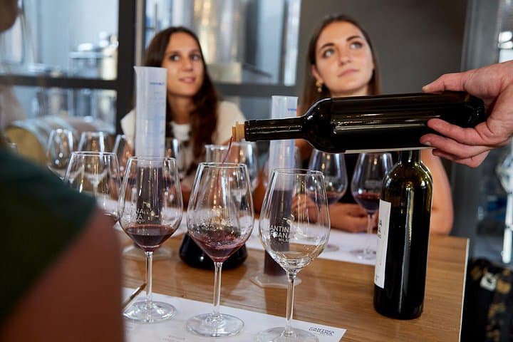 Wine Tasting Experience - Urban Cellar