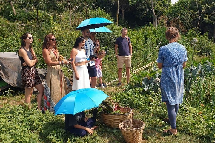 Slowlife Family Farm- Cook with us From Garden to Table Syracuse